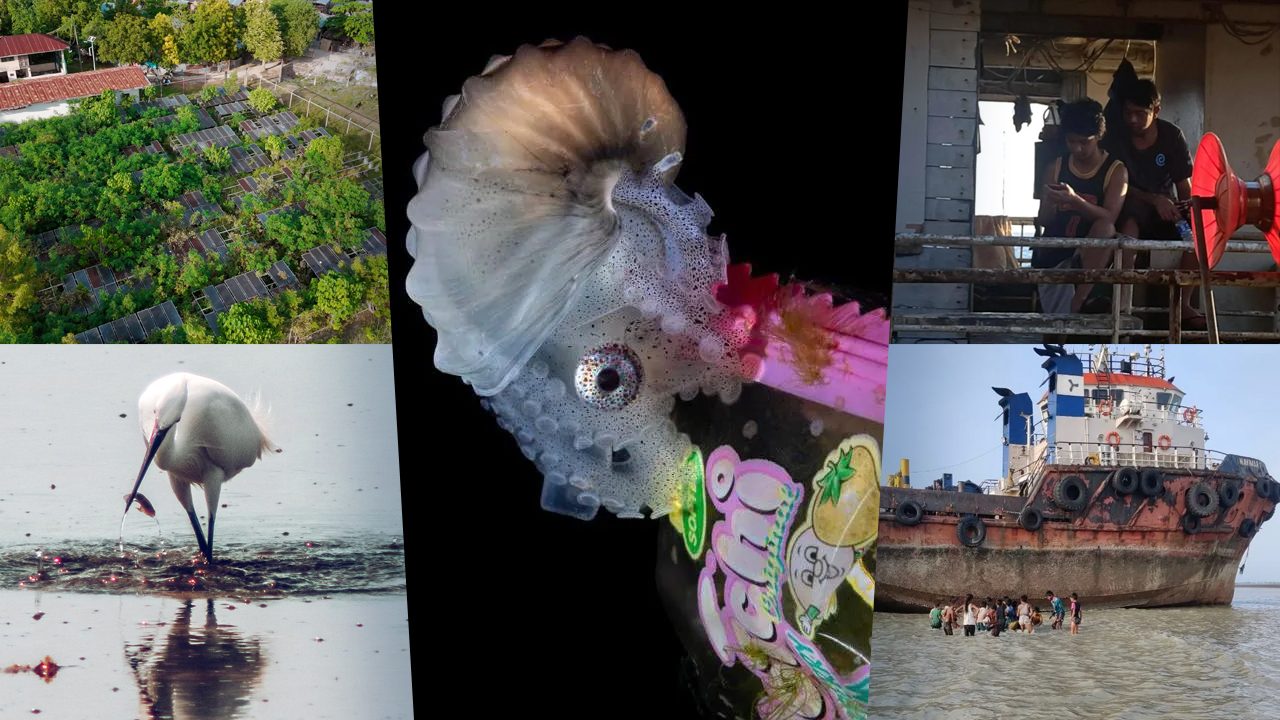 Filipino Stories of Struggle and Conservation Highlighted in Holy Week Environmental Reads