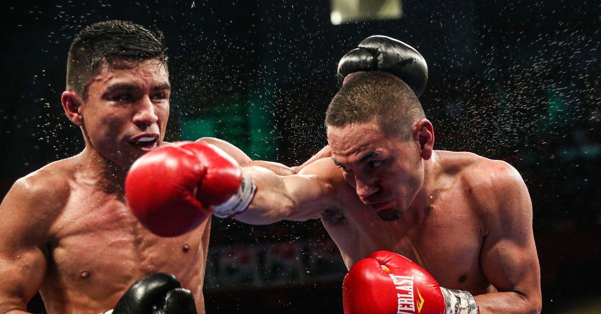 Super Flyweight Showdown: IBF Sets Cortes and Moloney on Path to Title Shot