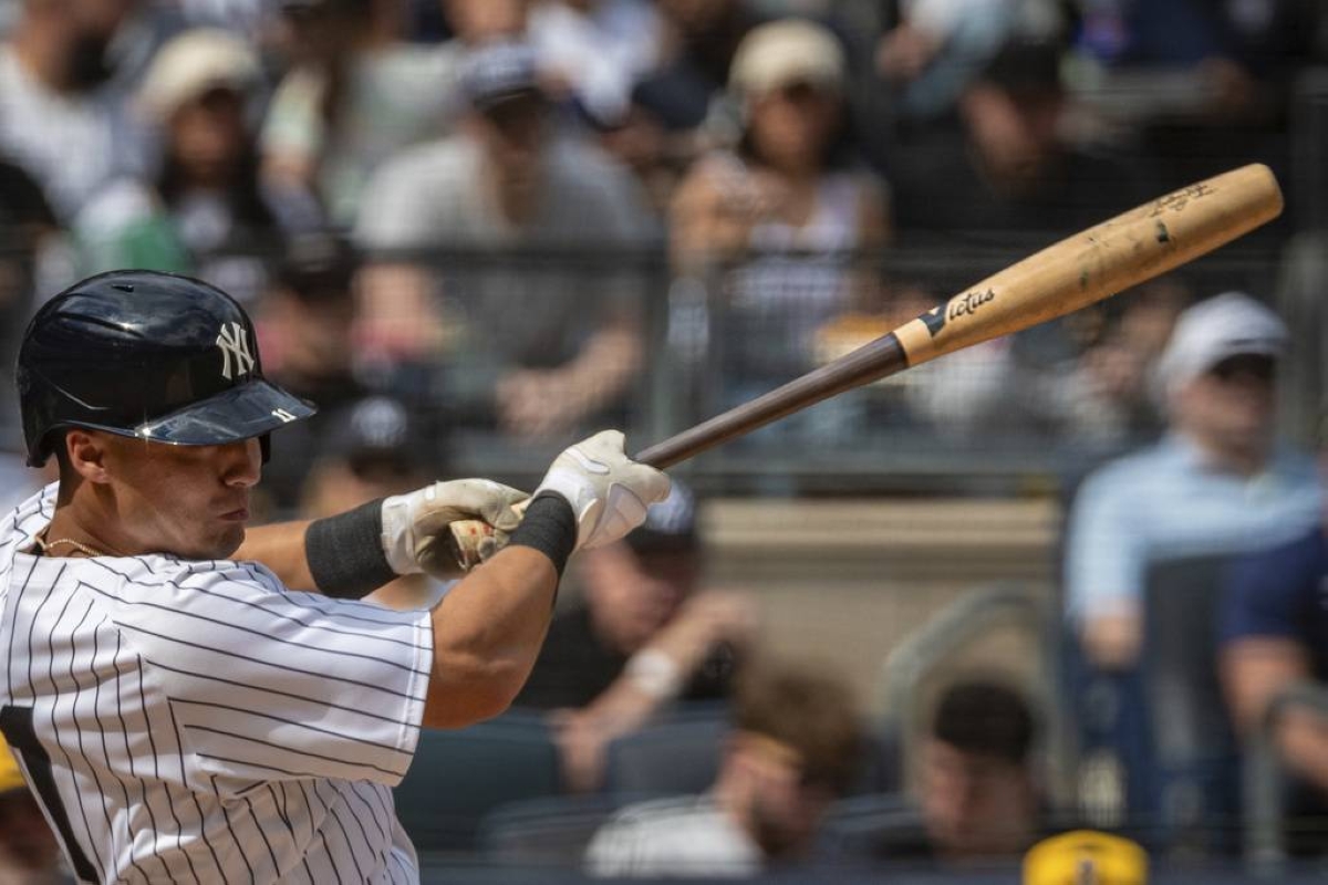 MIT Physicist's Torpedo Bat Sparks Debate: Is It the Bat or the Batter?