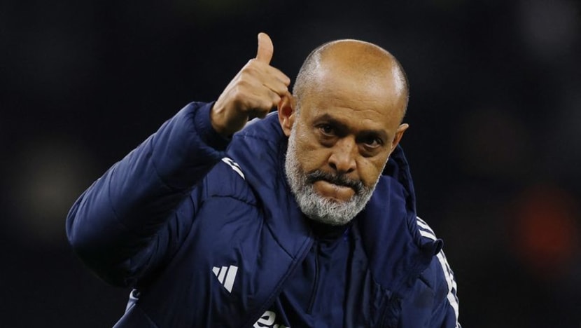 Nottingham Forest's Unexpected Surge: Espirito Santo Celebrates Champions League and FA Cup Ambitions