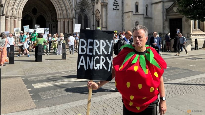 Local Campaigners Challenge Wimbledon's Ambitious Expansion in Court