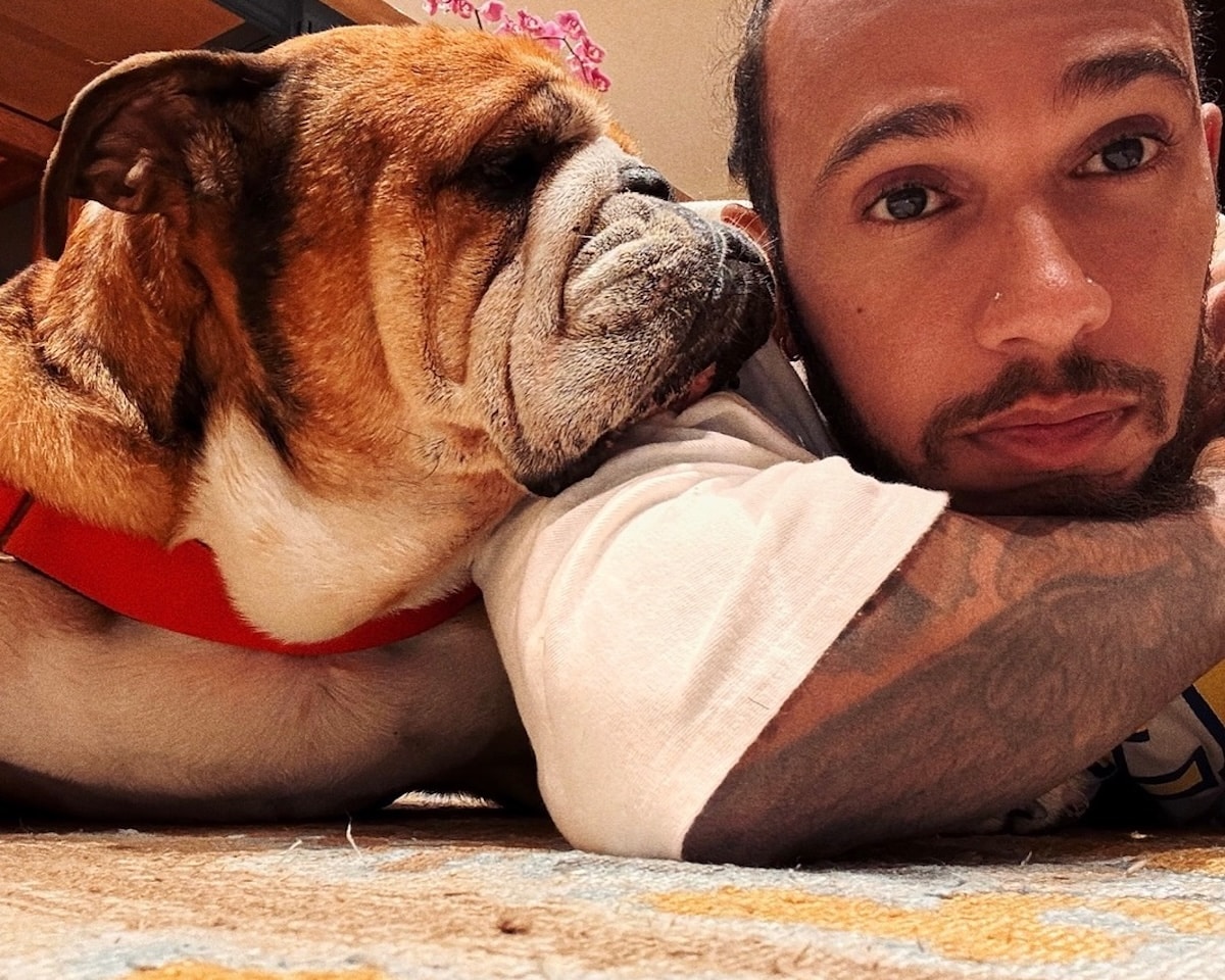 Lewis Hamilton's Emotional Journey: Concern for Aging Bulldog Roscoe Amidst Ferrari Debut