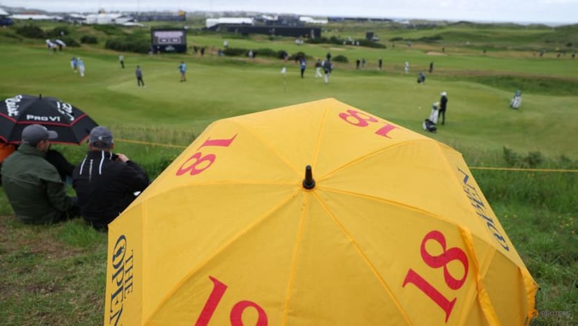 Golfers Aim for Birdies at The Open While Hawks Guard Against Seagulls